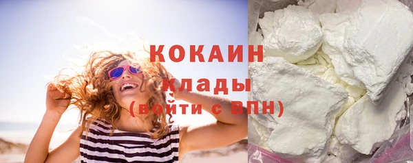 стафф Арсеньев