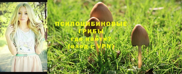 кокаин Аркадак