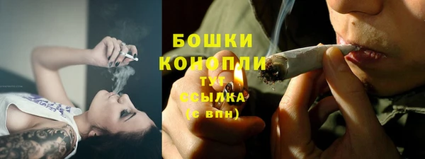 PSILOCYBIN Чердынь