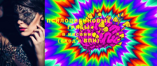 стафф Арсеньев