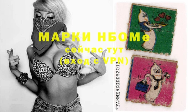стафф Арсеньев