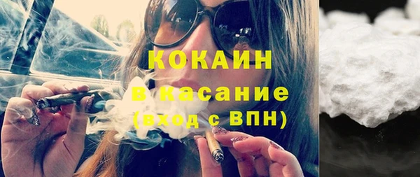 стафф Арсеньев