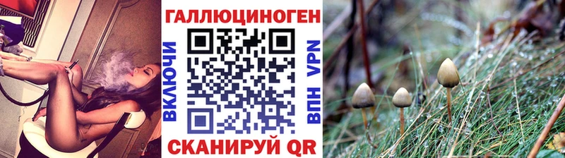 Галлюциногенные грибы Psilocybe  Уссурийск 