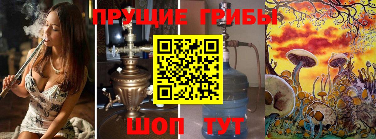 Псилоцибиновые грибы GOLDEN TEACHER  Вход с VPN  Уссурийск  Галлюциногенные грибы прущие грибы 